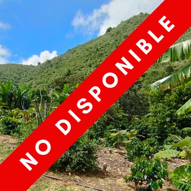Finca Productiva - No disponible Finca Productiva, no disponible, Agencia Inmobiliaria de Nariño